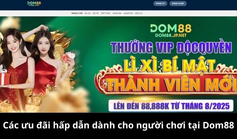 Các ưu đãi hấp dẫn dành cho người chơi tại Dom88